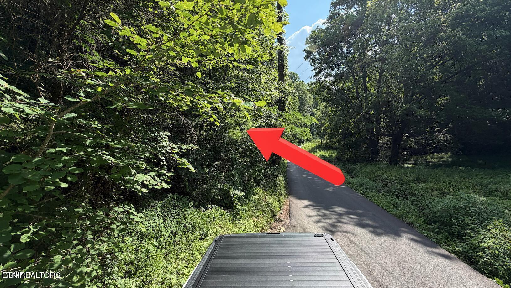 4321 Manis Hollow Road Gatlinburg TN 37738