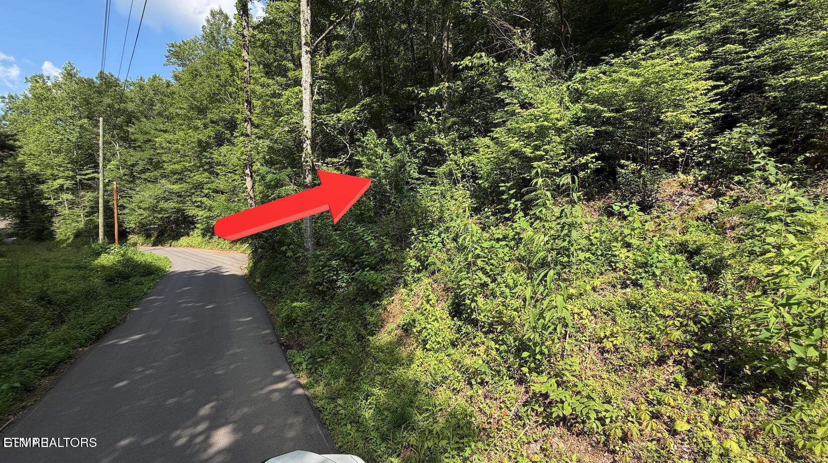 4321 Manis Hollow Road Gatlinburg TN 37738
