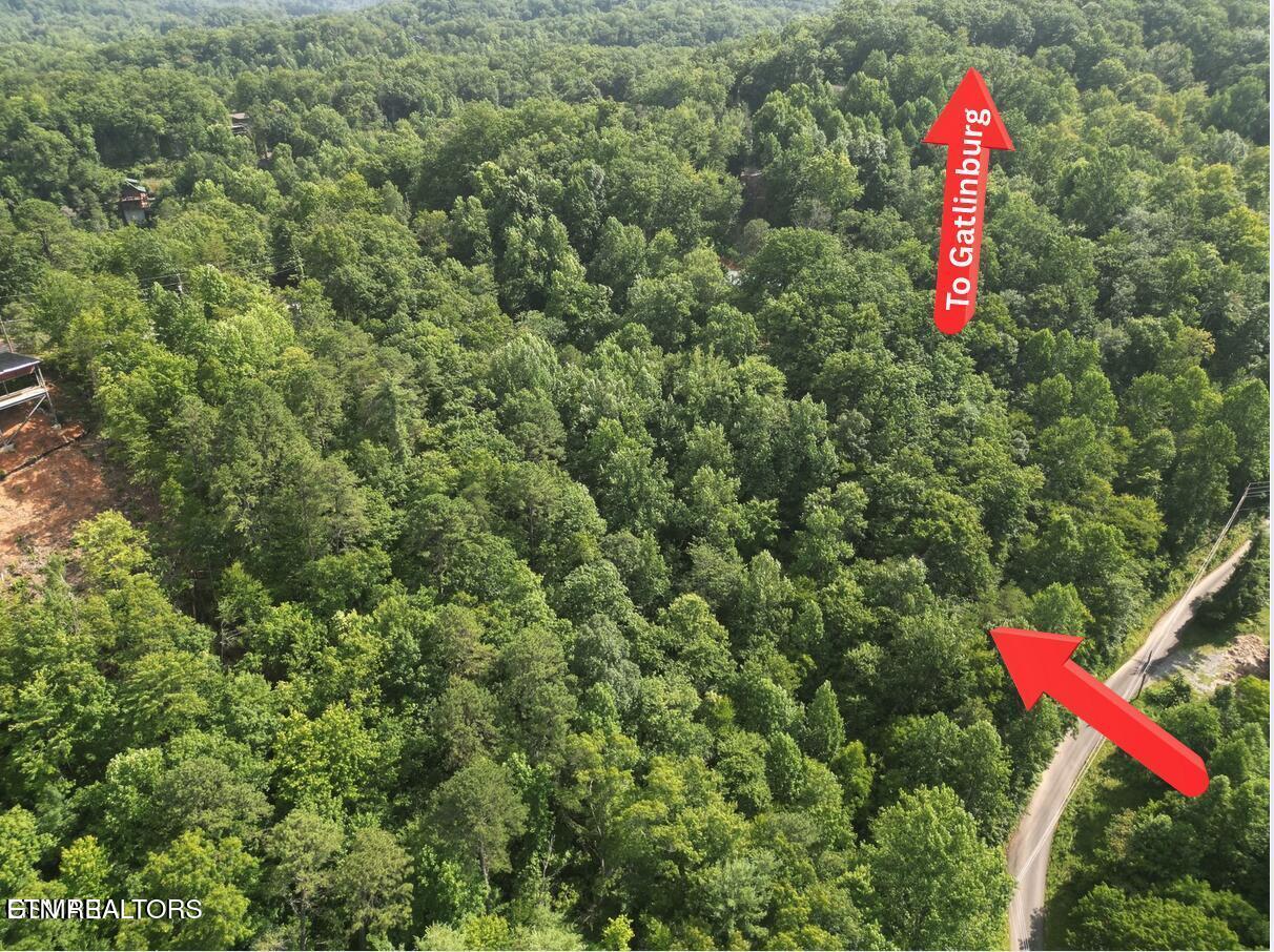 4321 Manis Hollow Road Gatlinburg TN 37738