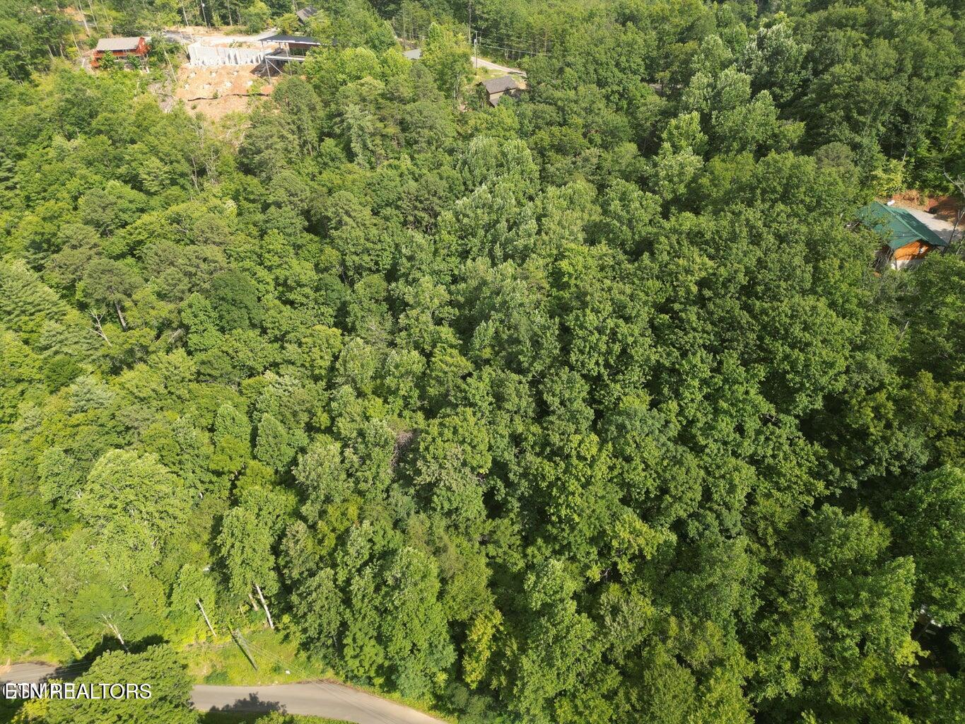 4321 Manis Hollow Road Gatlinburg TN 37738