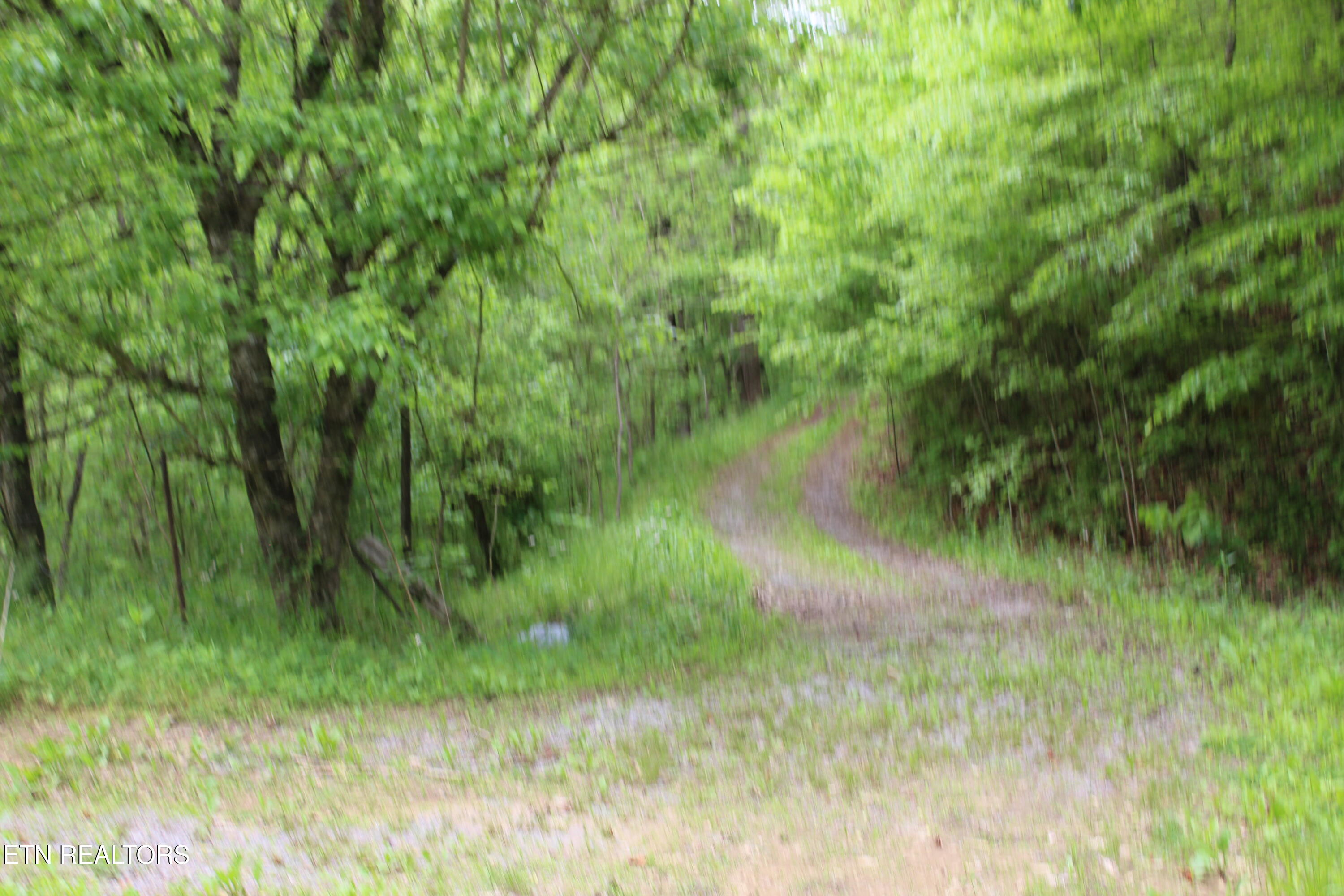 Leatherwood Road Sevierville TN 37876