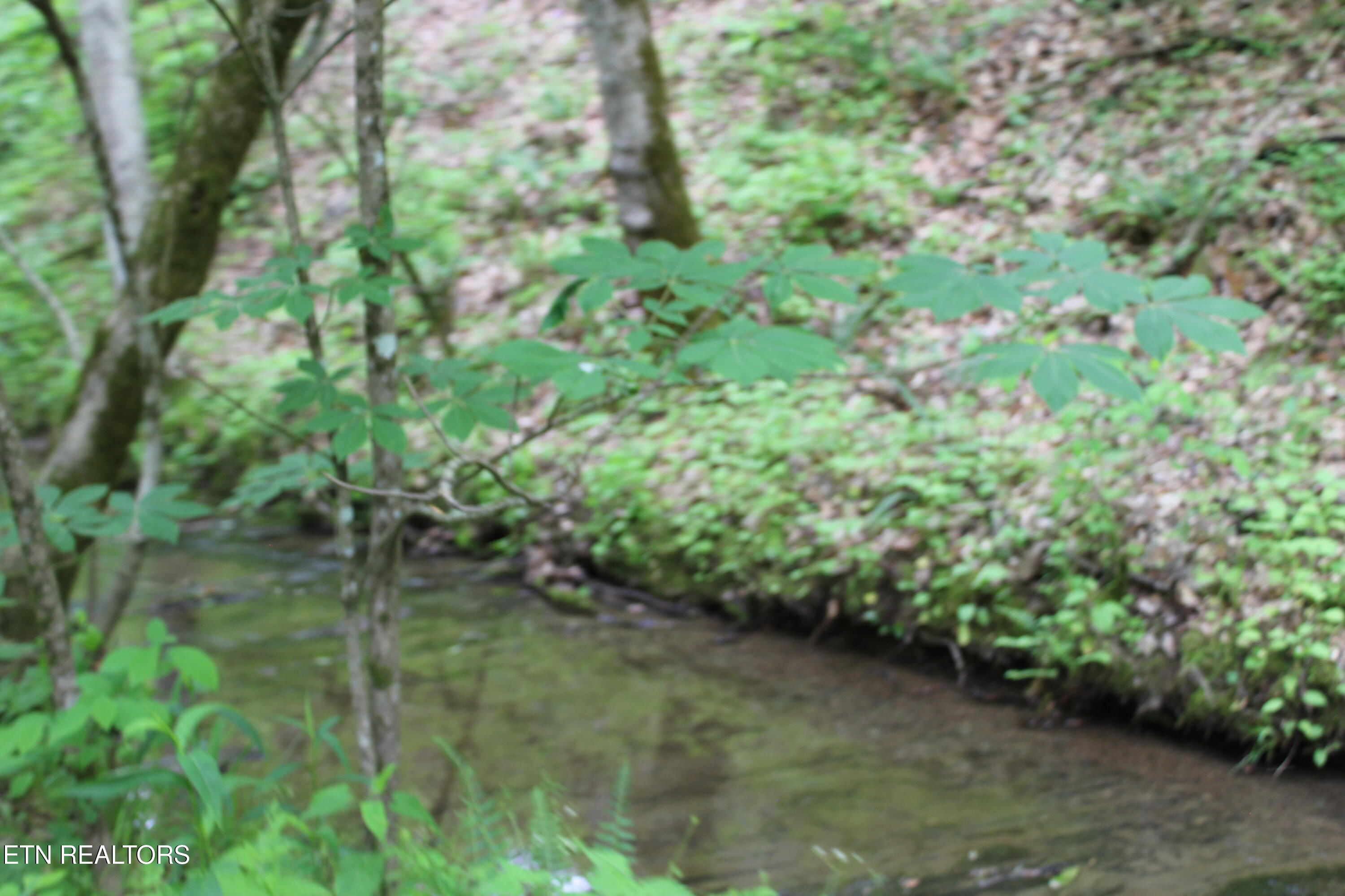 Leatherwood Road Sevierville TN 37876