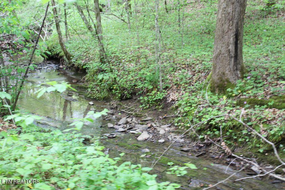 Leatherwood Road Sevierville TN 37876