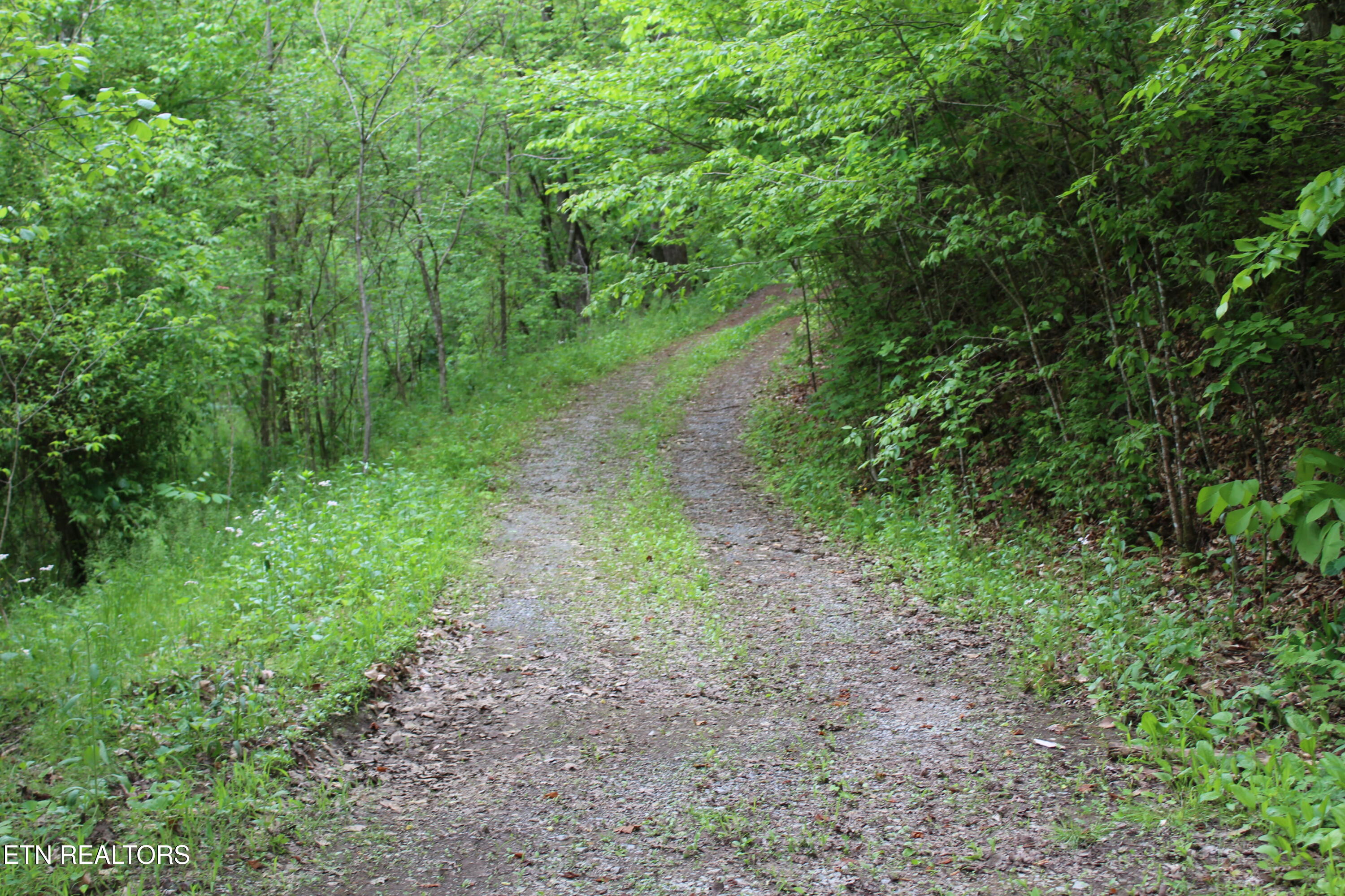 Leatherwood Road Sevierville TN 37876