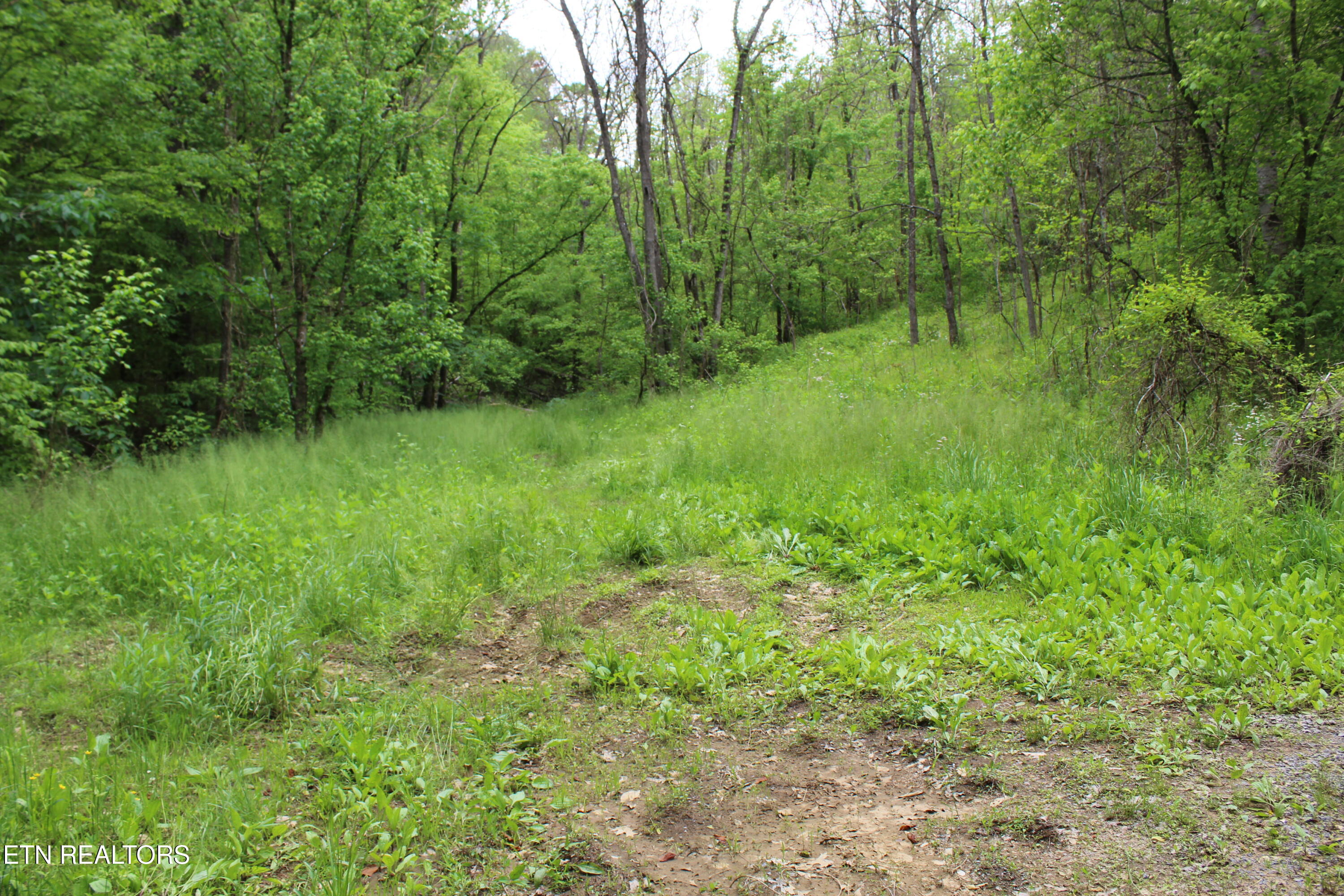 Leatherwood Road Sevierville TN 37876
