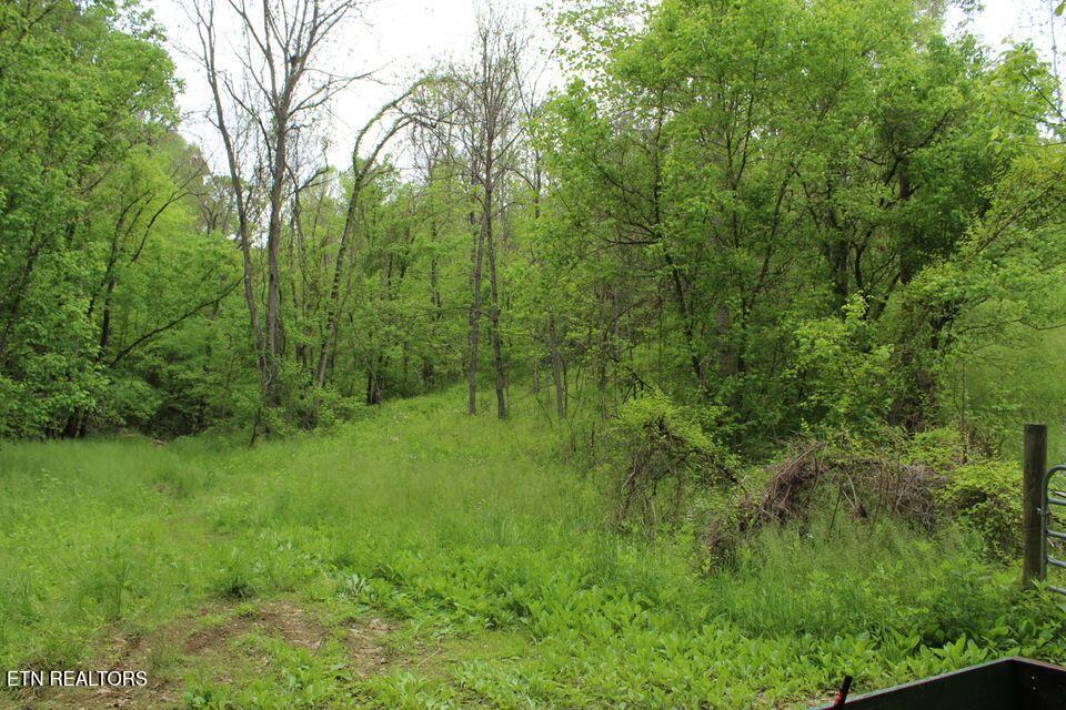 Leatherwood Road Sevierville TN 37876