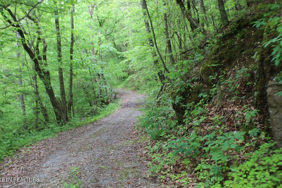 Leatherwood Road Sevierville TN 37876
