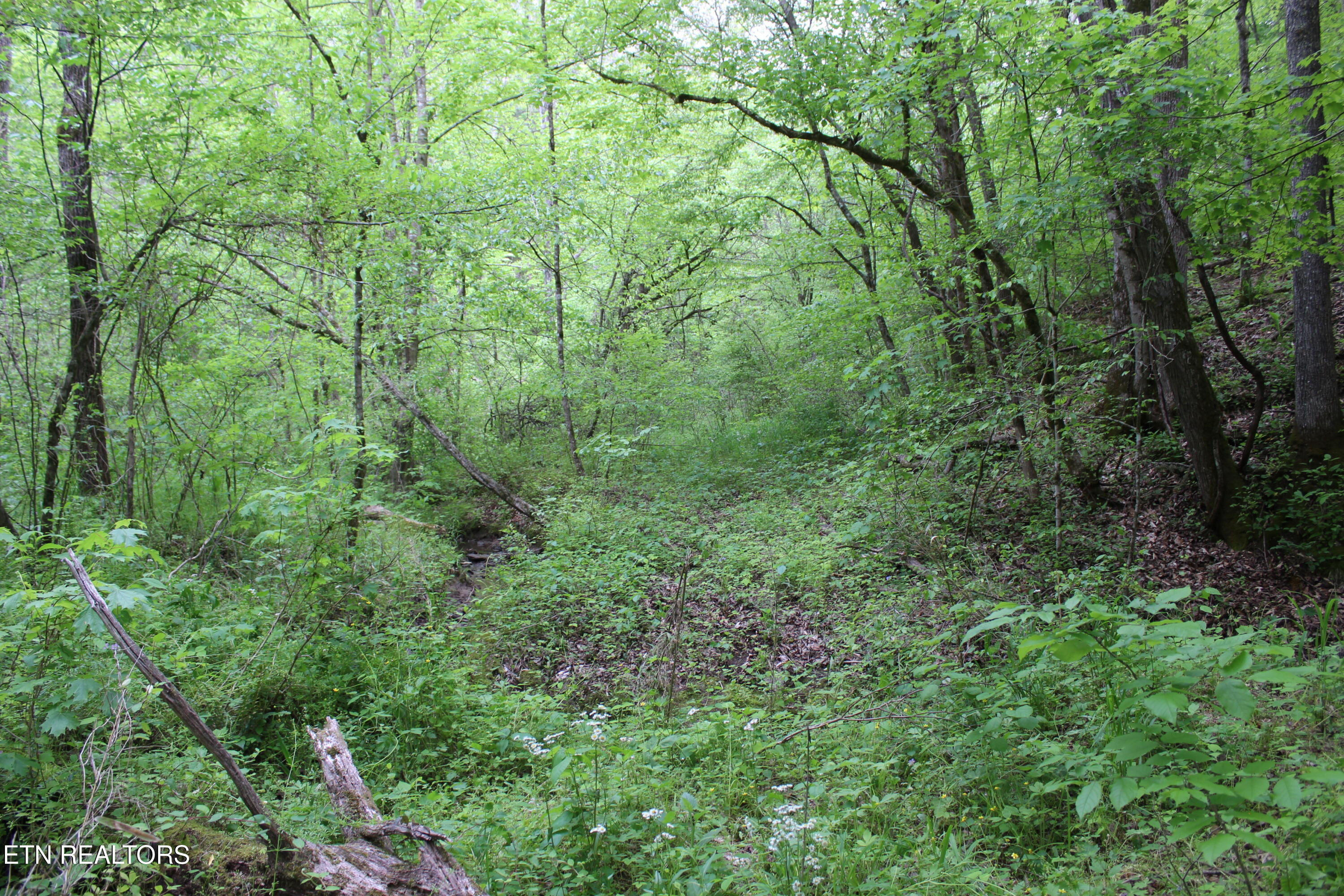 Leatherwood Road Sevierville TN 37876
