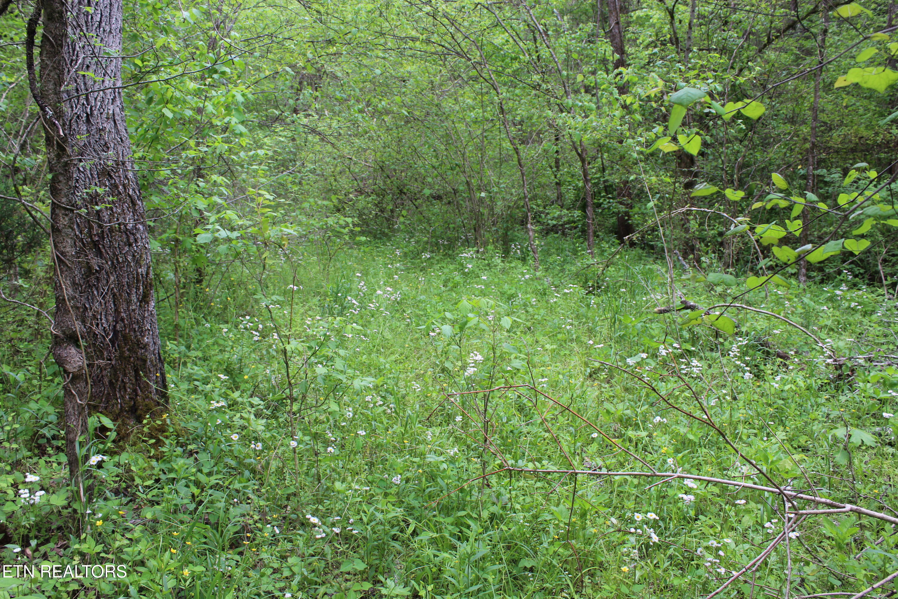 Leatherwood Road Sevierville TN 37876