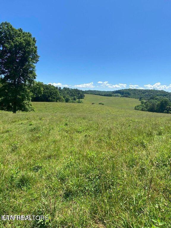 Lot 1 Chapman Road Lafollette TN 37766