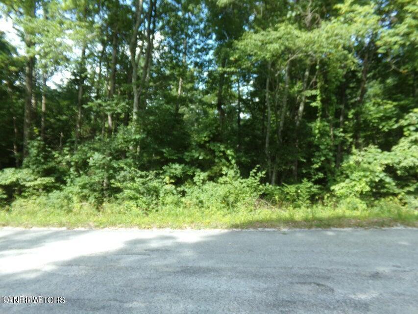 2405 White Horse Drive Crossville TN 38572