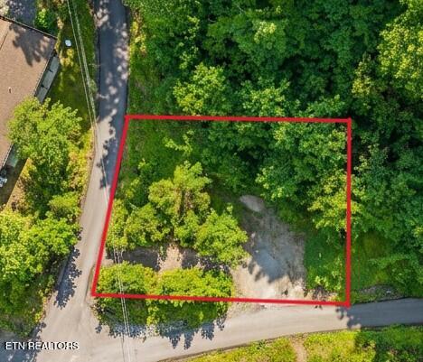 303 Silverbell Lane Gatlinburg TN 37738