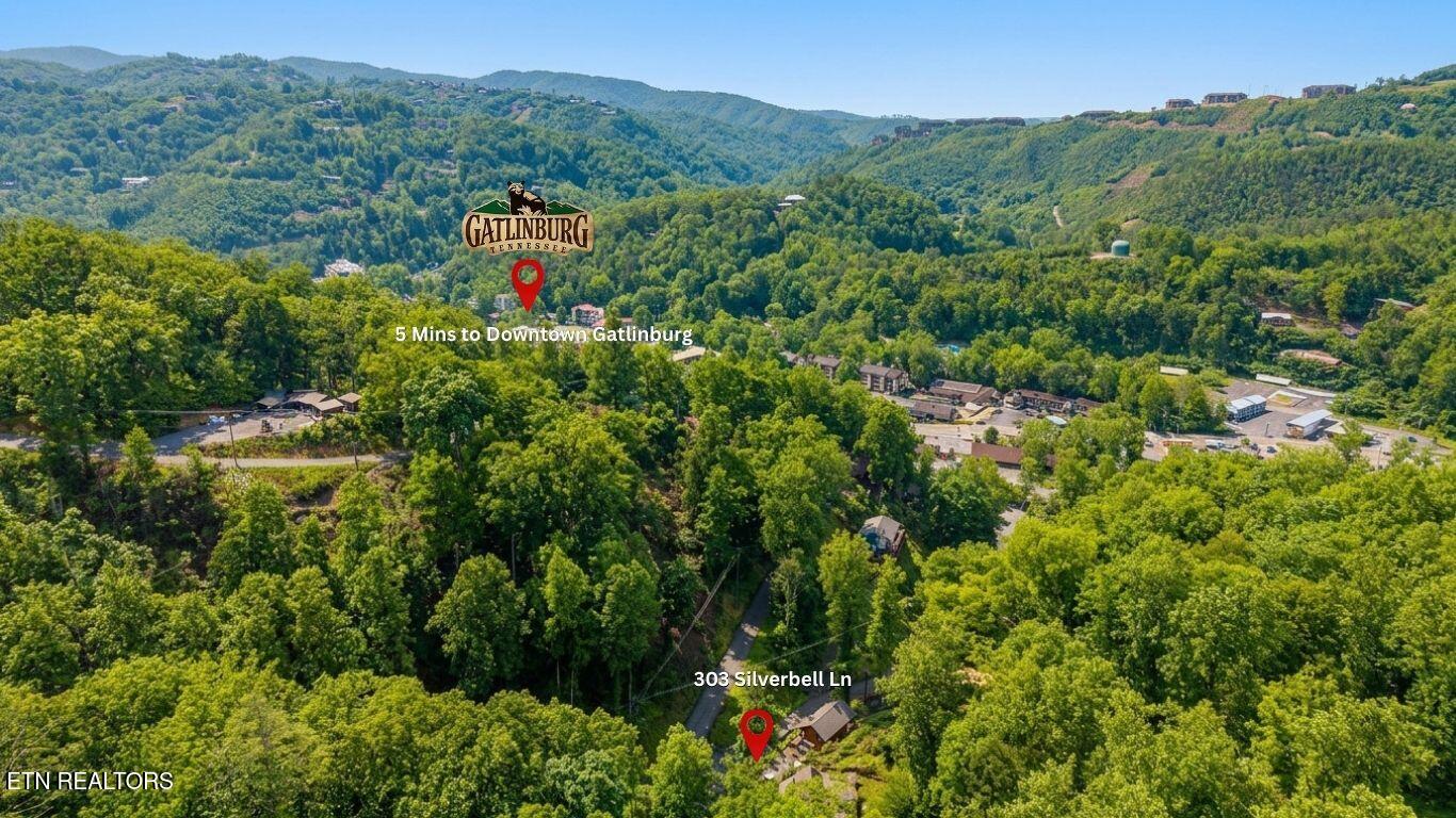 303 Silverbell Lane Gatlinburg TN 37738