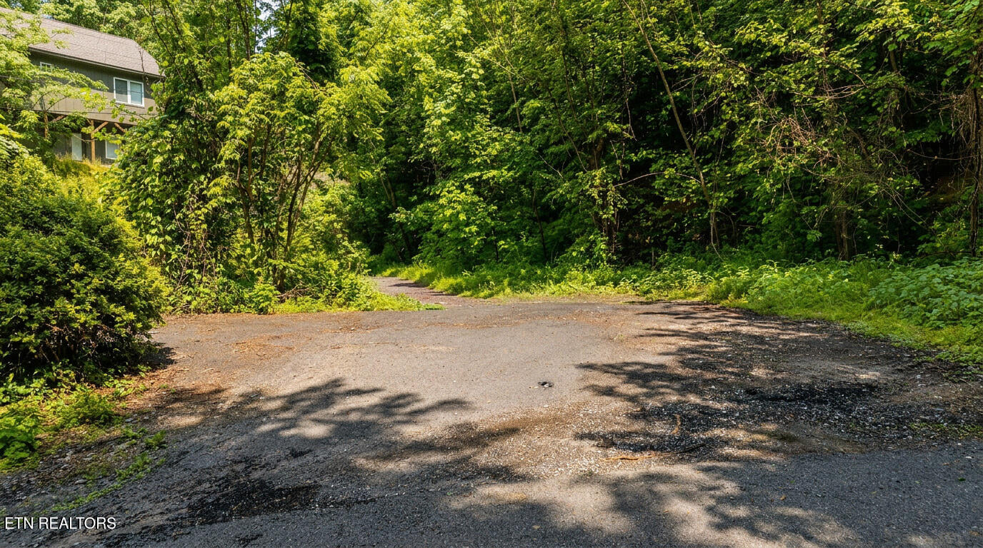 303 Silverbell Lane Gatlinburg TN 37738