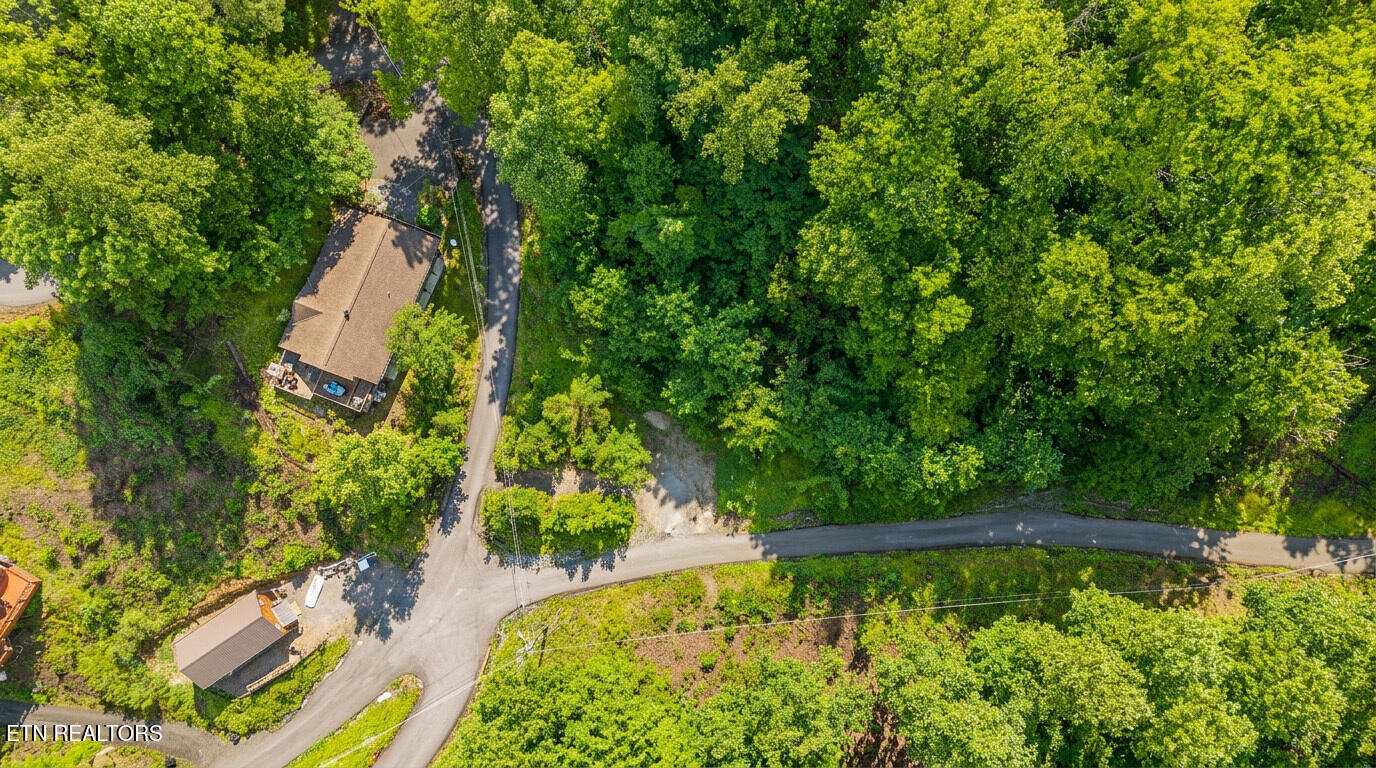303 Silverbell Lane Gatlinburg TN 37738