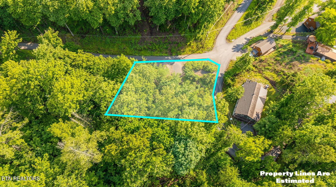 303 Silverbell Lane Gatlinburg TN 37738