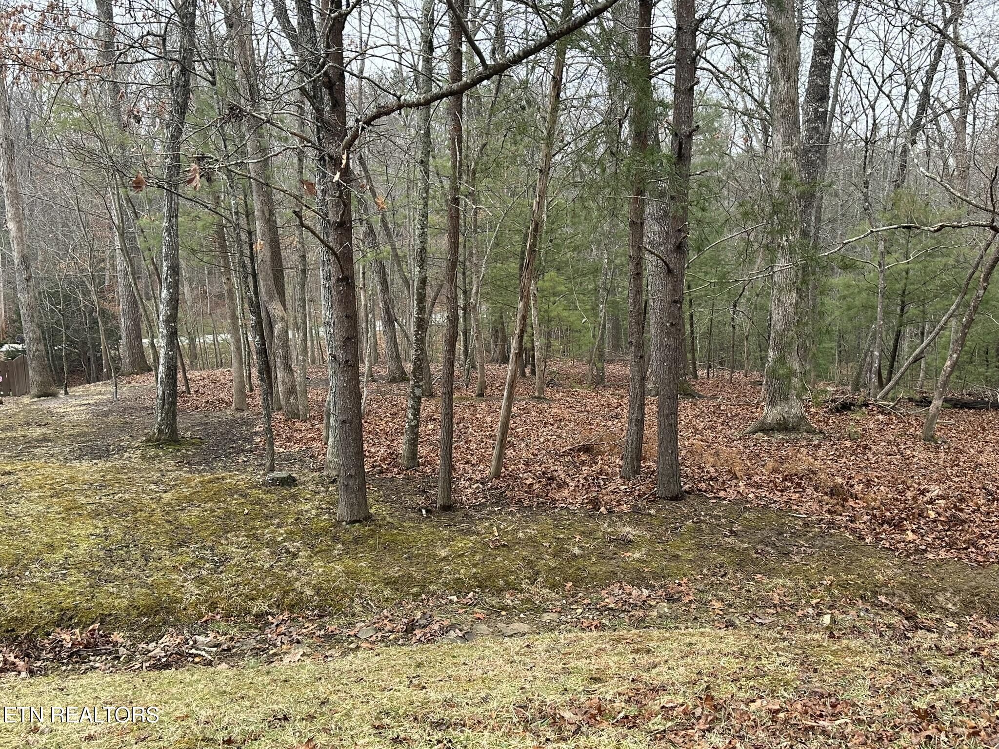 30 Clason Point Fairfield Glade TN 38558