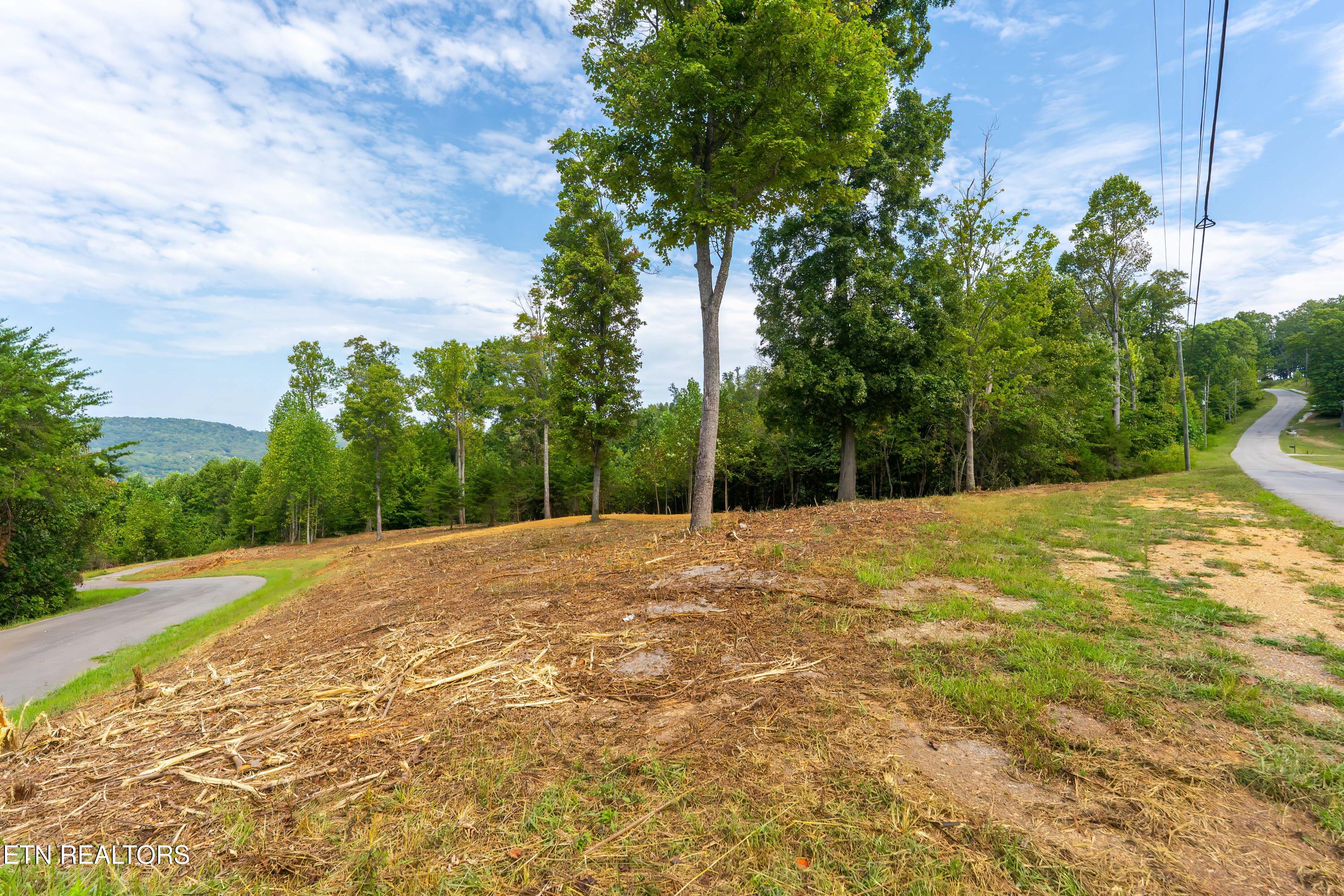 Lot 37 Hickory Point Lane Maynardville TN 37807
