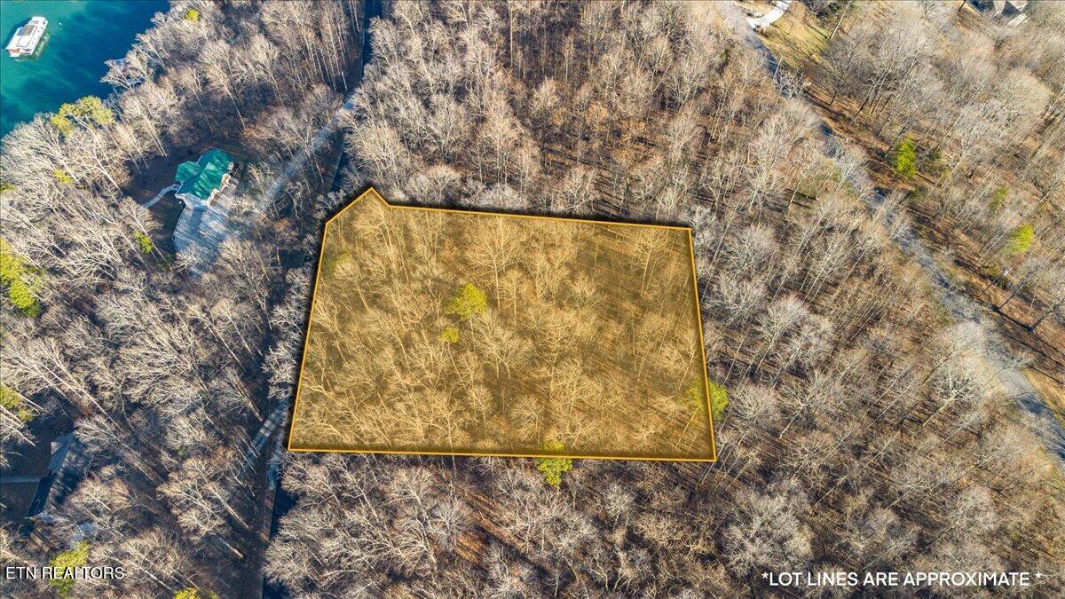 Shanghai Landing Lane Lafollette TN 37766