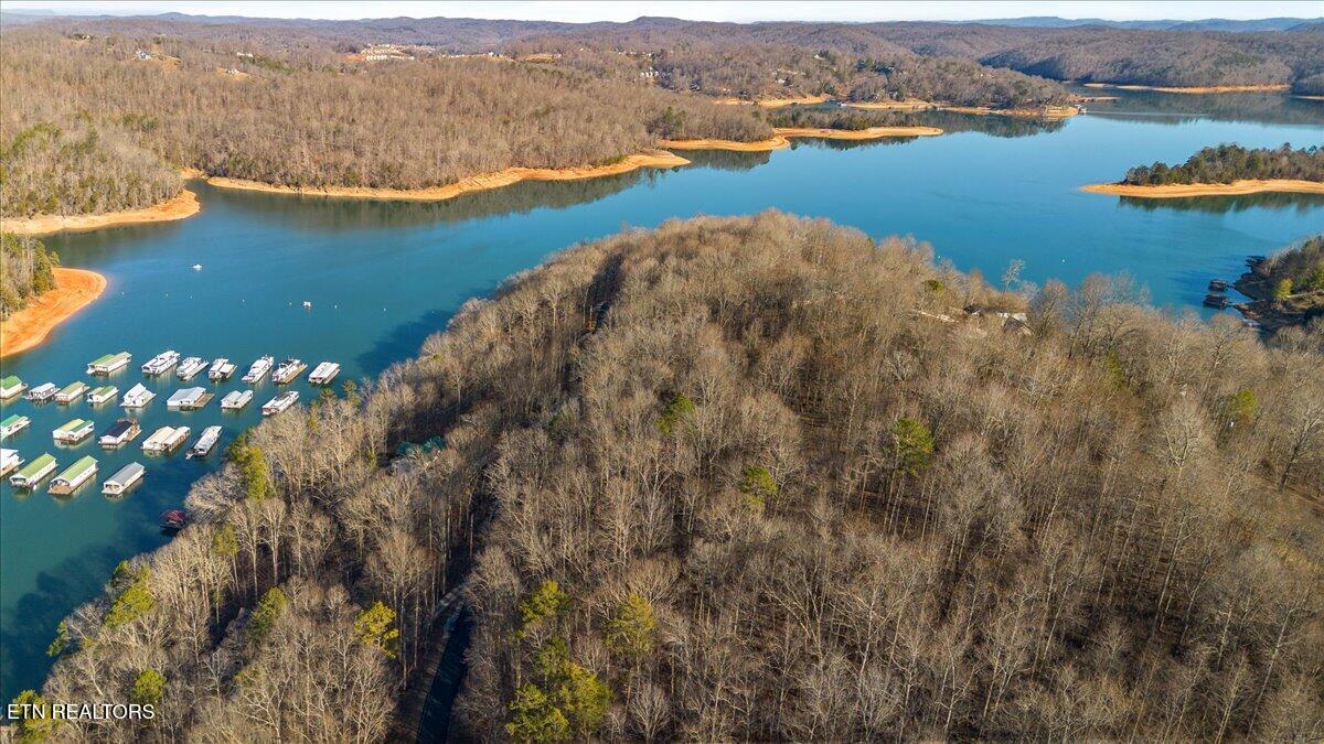 Shanghai Landing Lane Lafollette TN 37766