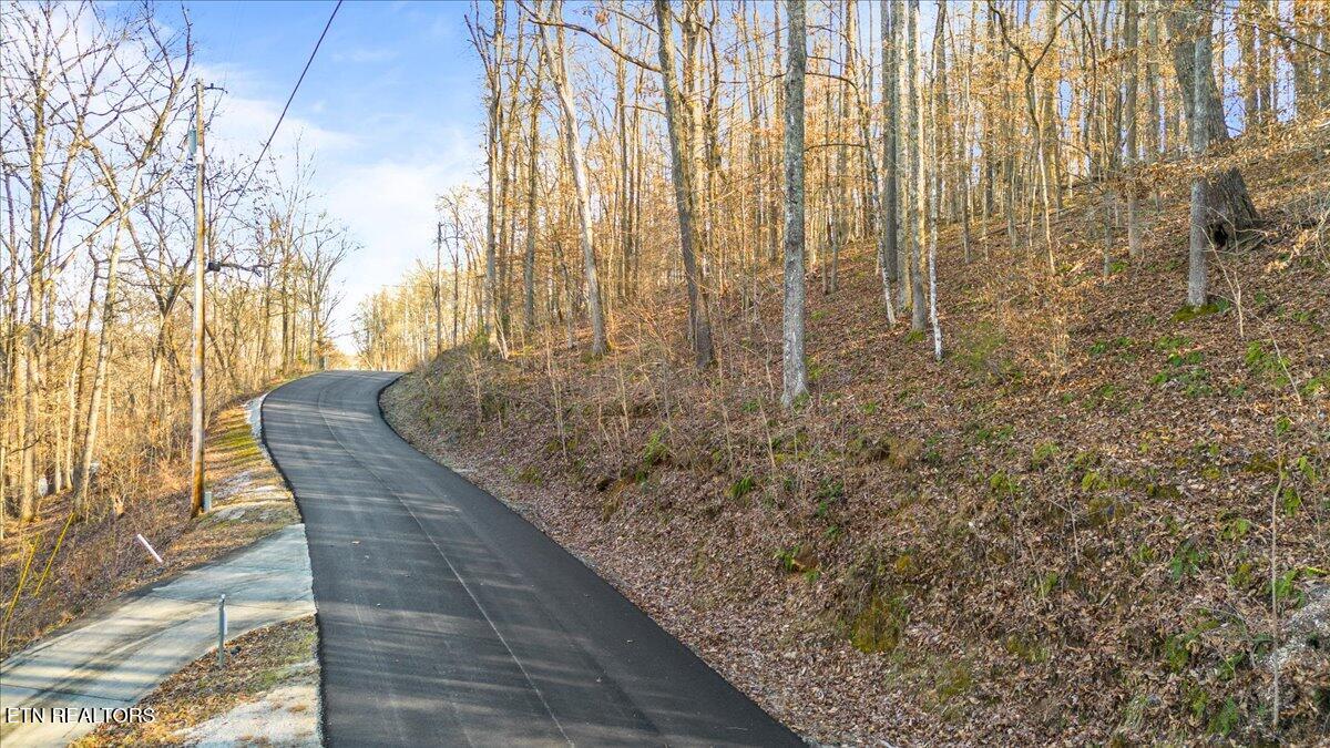 Shanghai Landing Lane Lafollette TN 37766