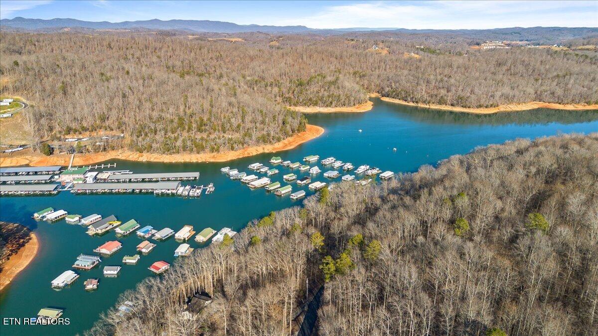 Shanghai Landing Lane Lafollette TN 37766