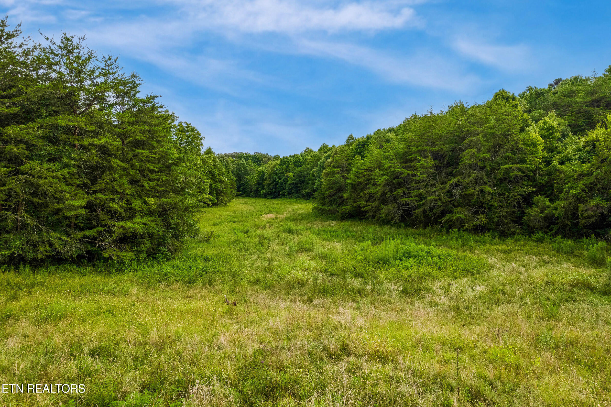 Alex Bales Road Kodak TN 37764