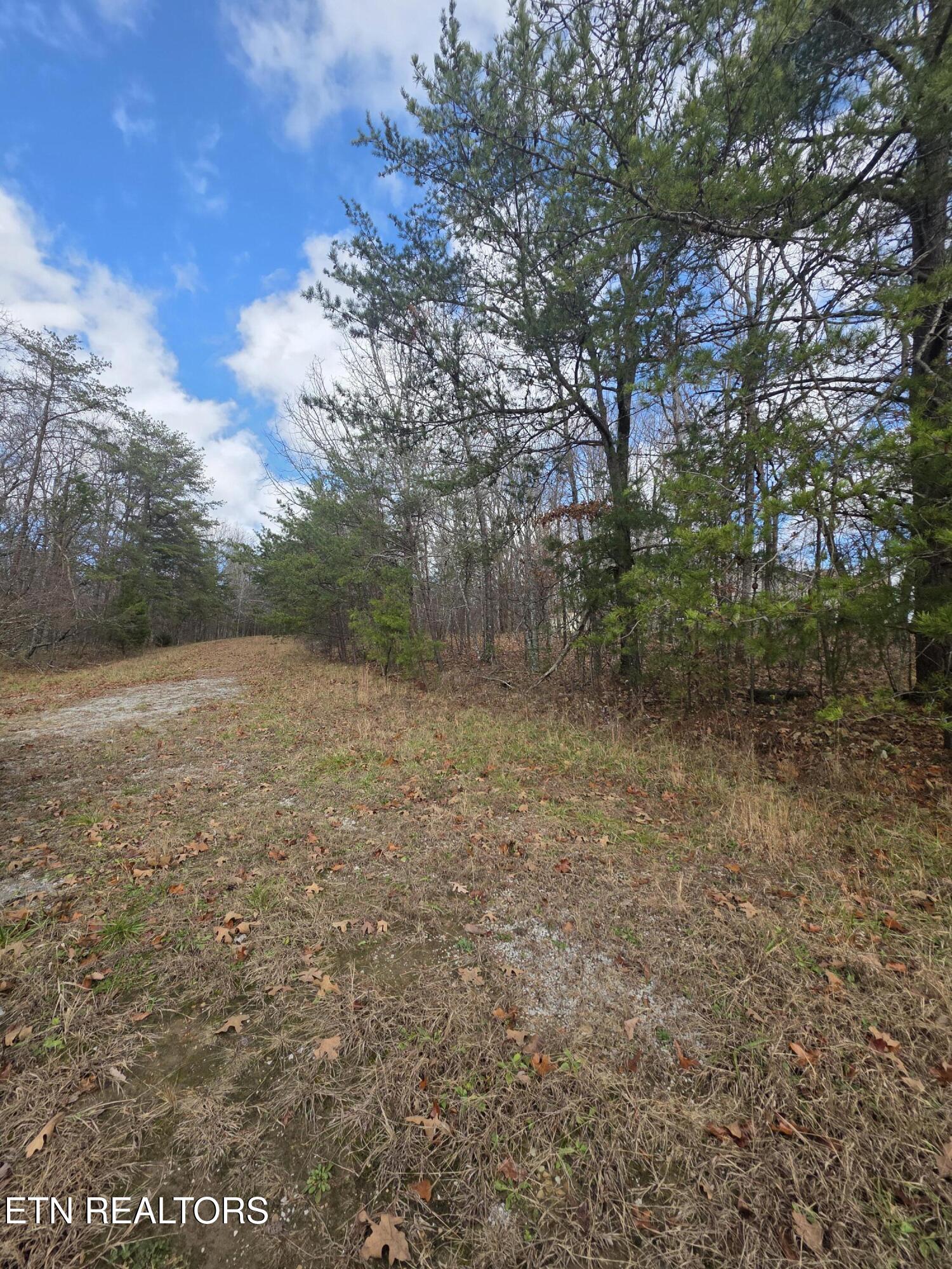 523 Lakeview Drive Crossville TN 38558