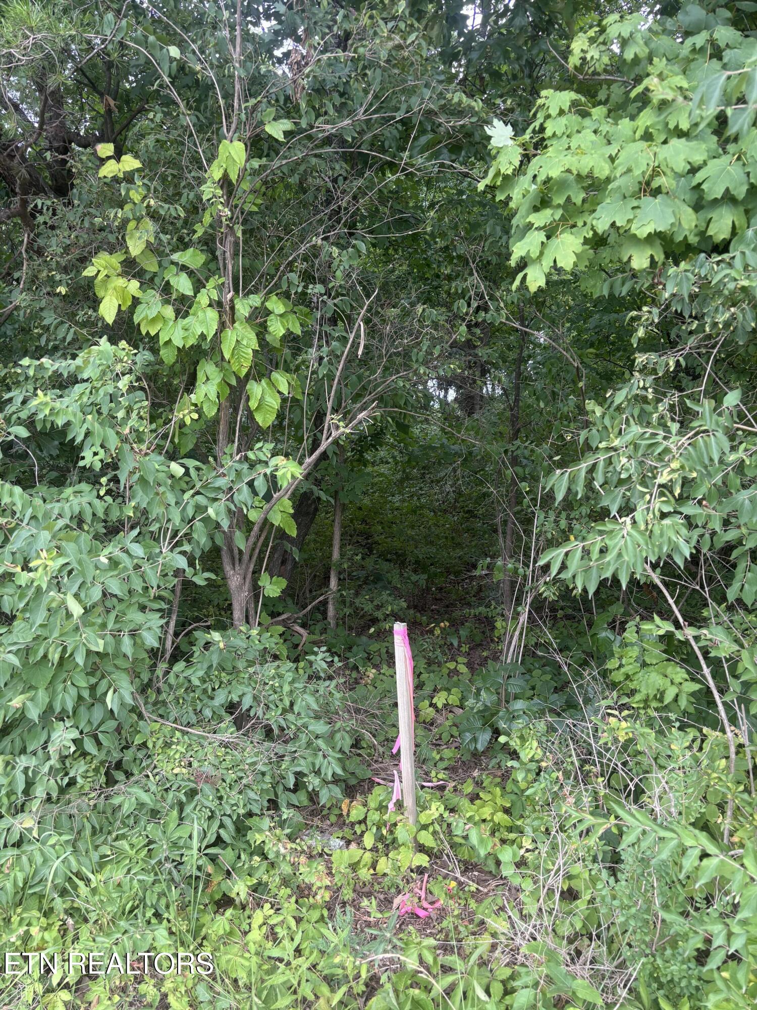 107 Long Powers Road Friendsville TN 37737