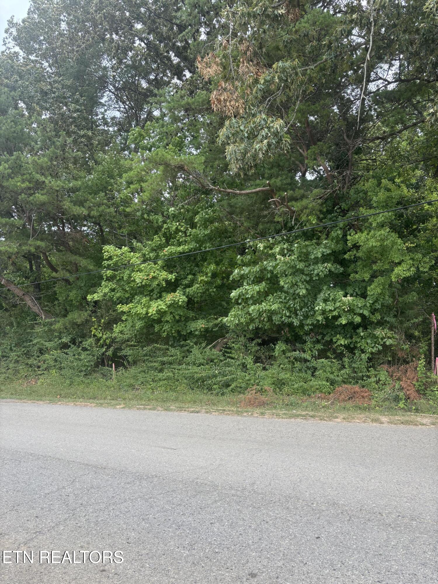 107 Long Powers Road Friendsville TN 37737