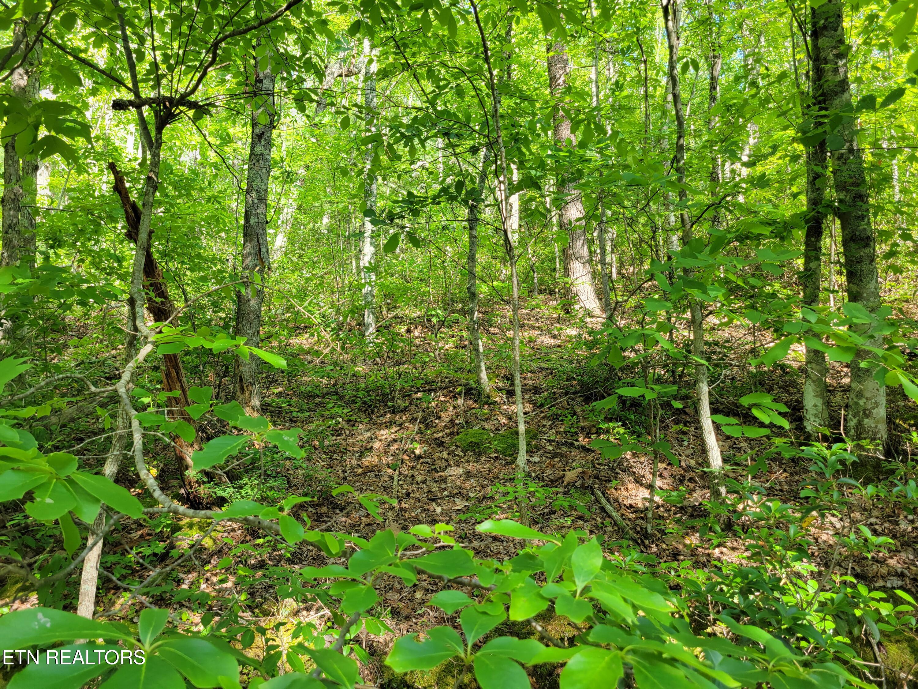 Lot 27 Black Oak Drive Sevierville TN 37876