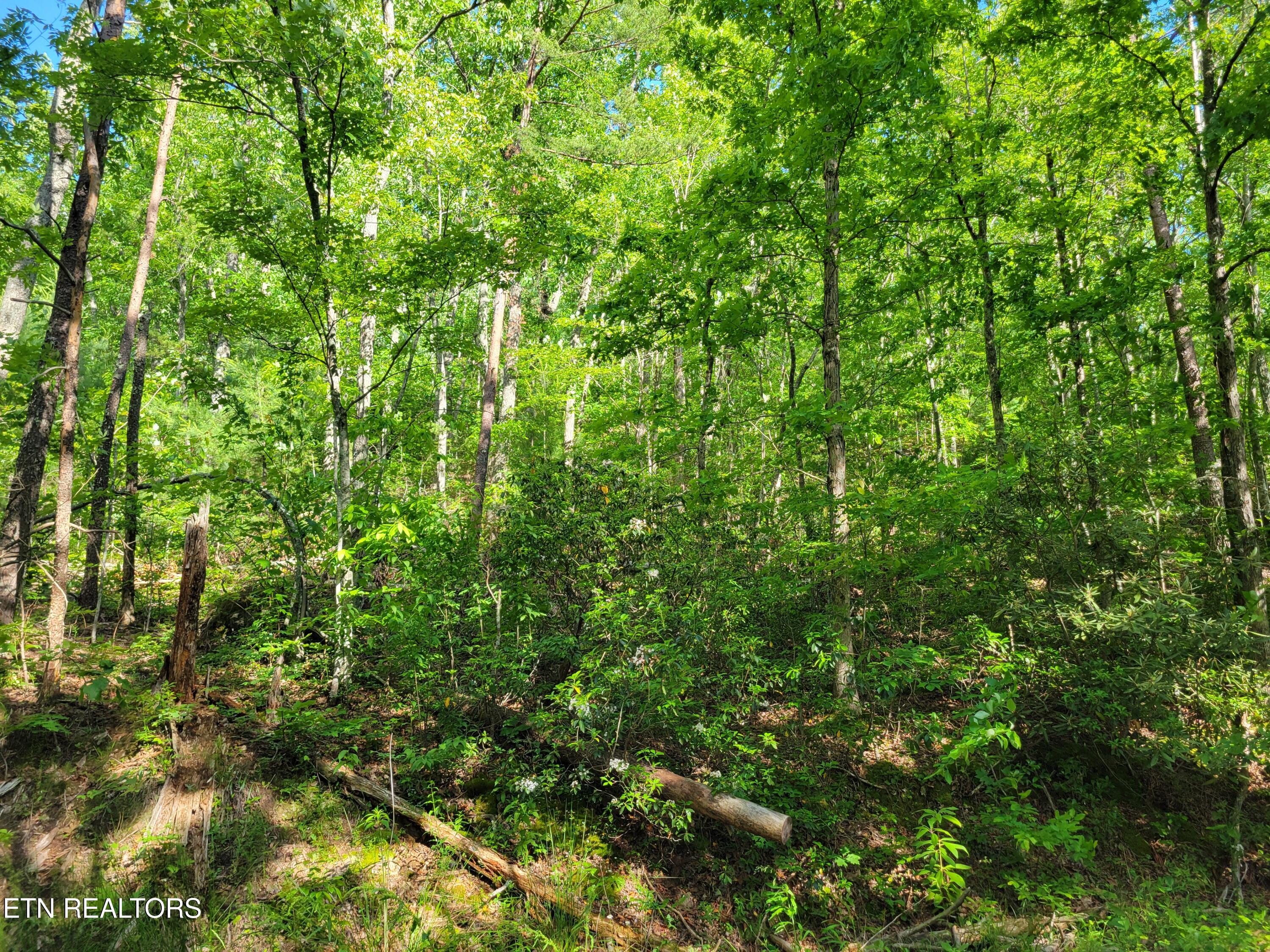 Lot 27 Black Oak Drive Sevierville TN 37876