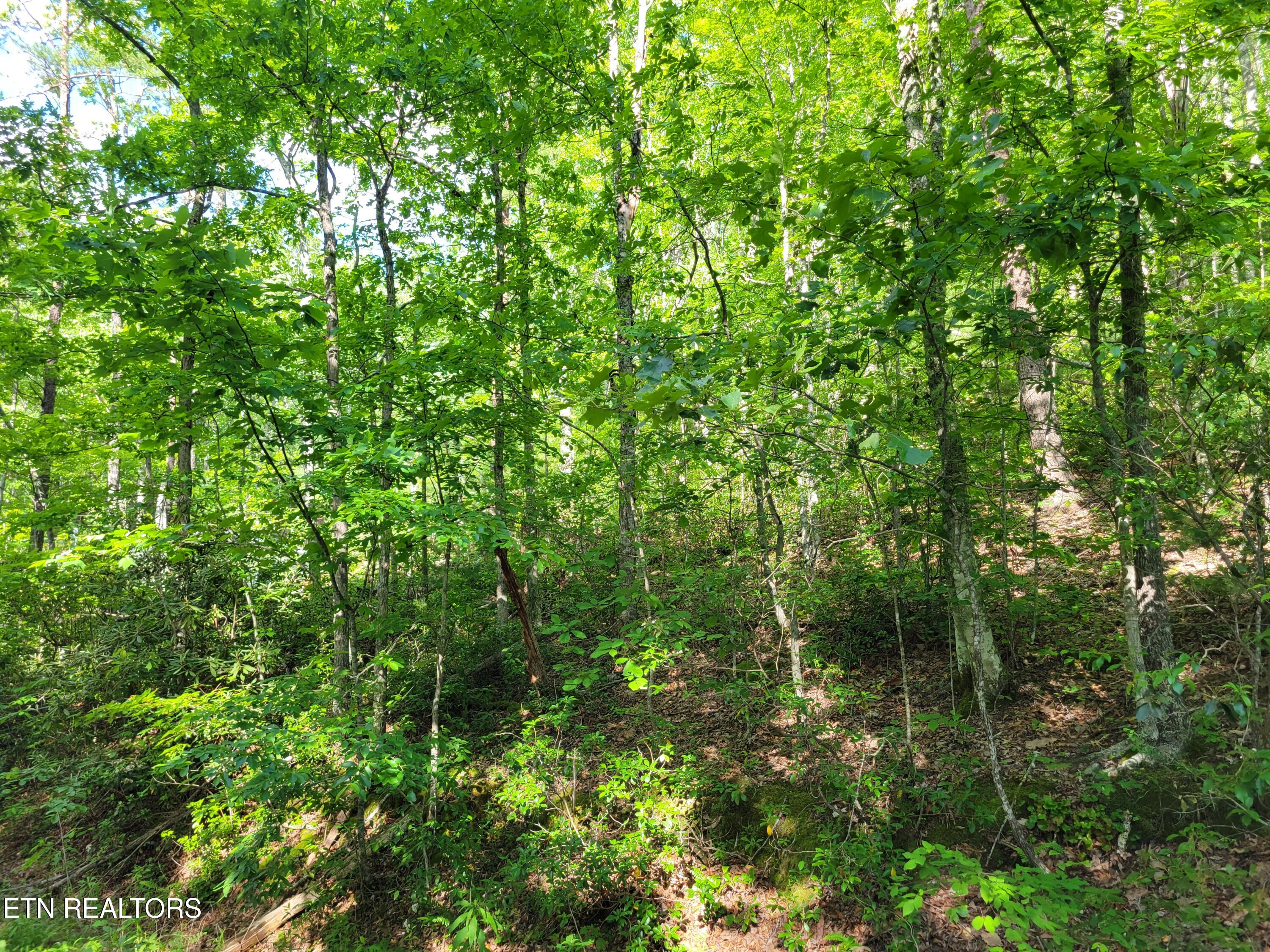 Lot 27 Black Oak Drive Sevierville TN 37876