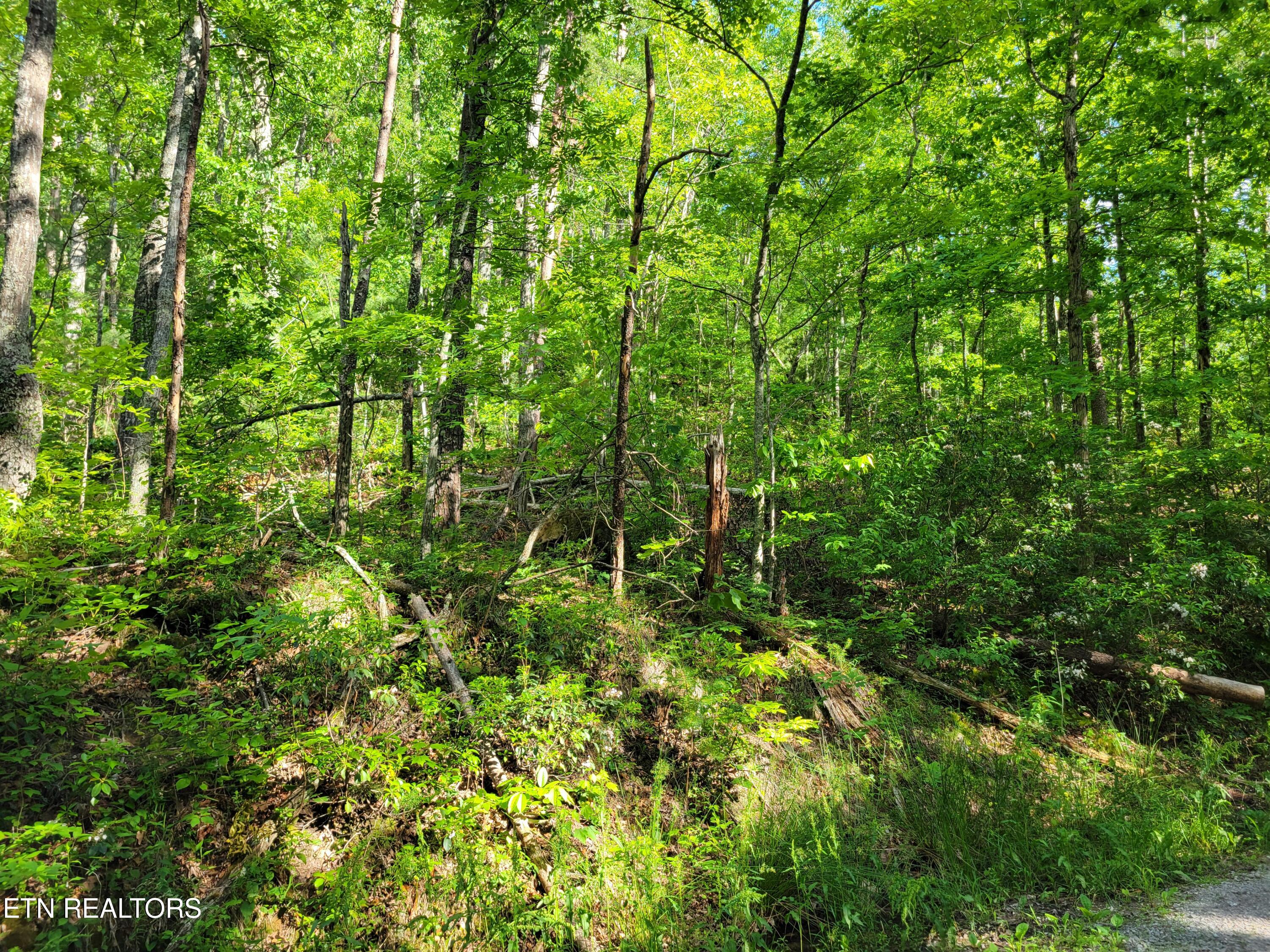 Lot 27 Black Oak Drive Sevierville TN 37876