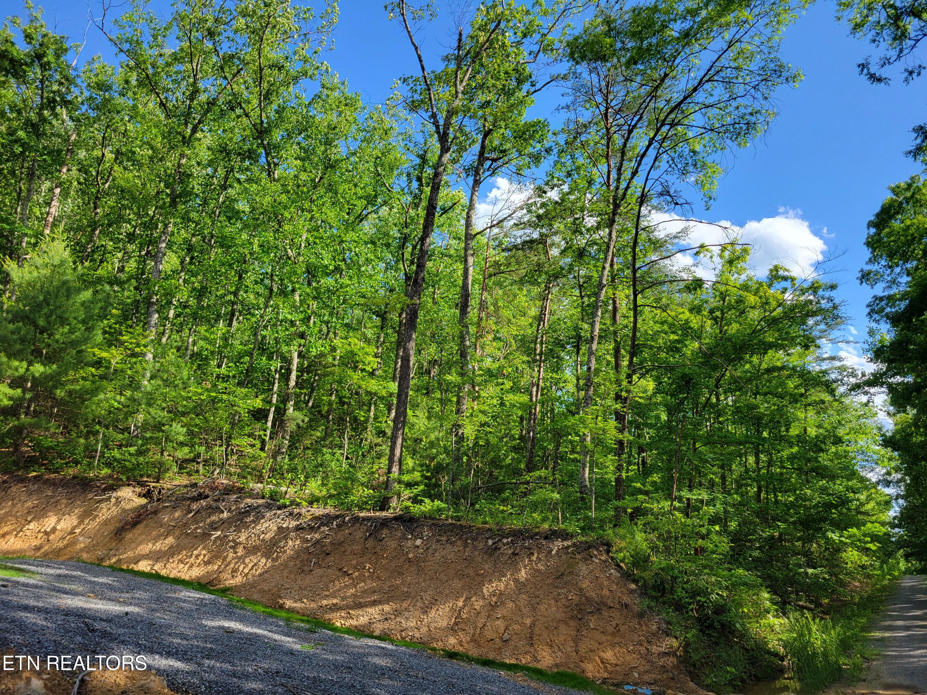Lot 27 Black Oak Drive Sevierville TN 37876