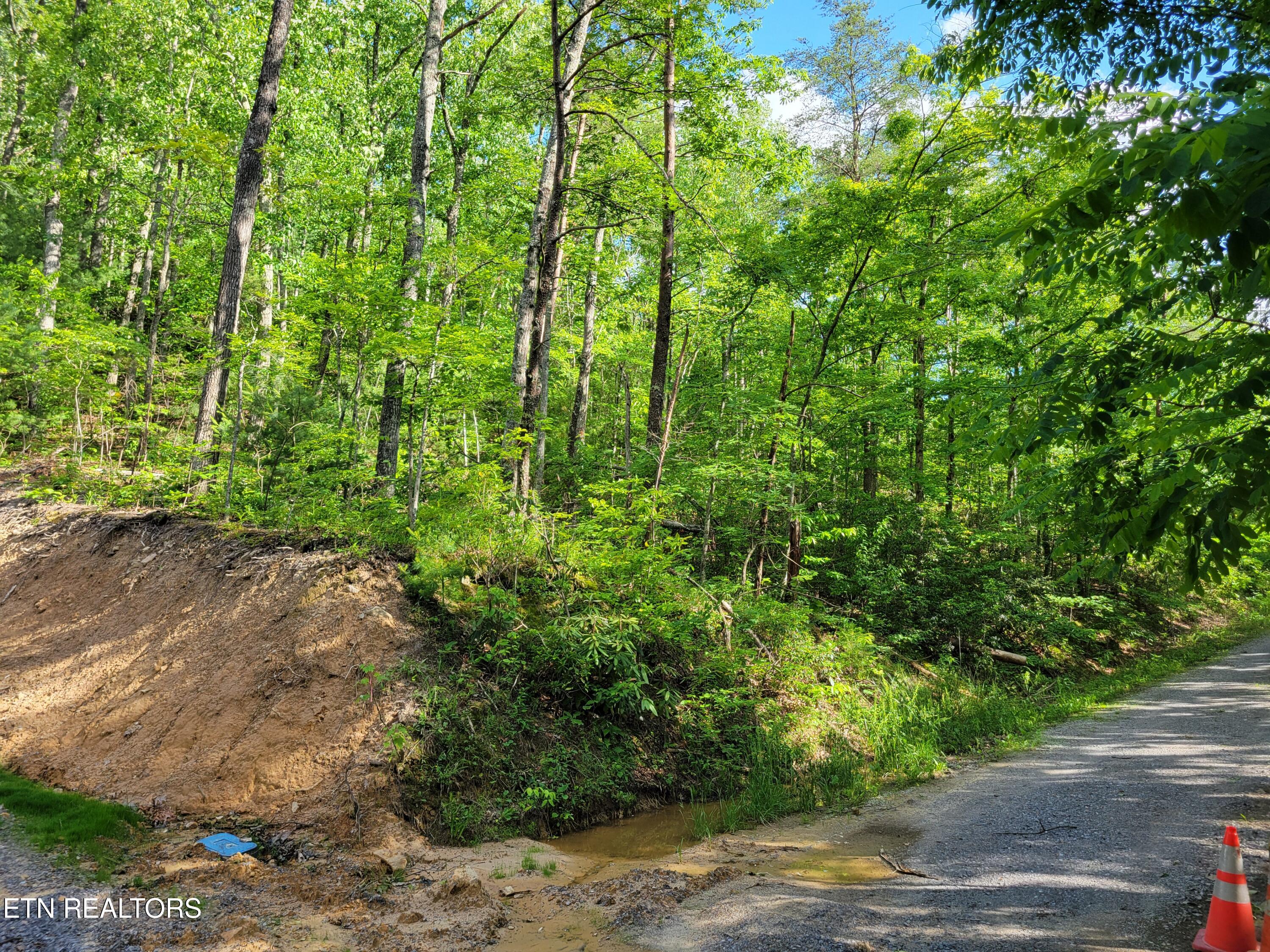 Lot 27 Black Oak Drive Sevierville TN 37876