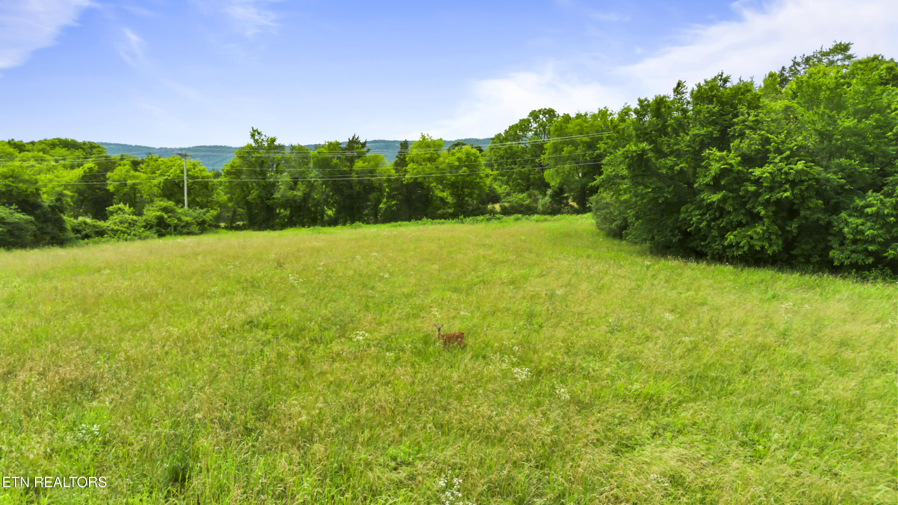 Old Middlesboro Highway Lafollette TN 37766