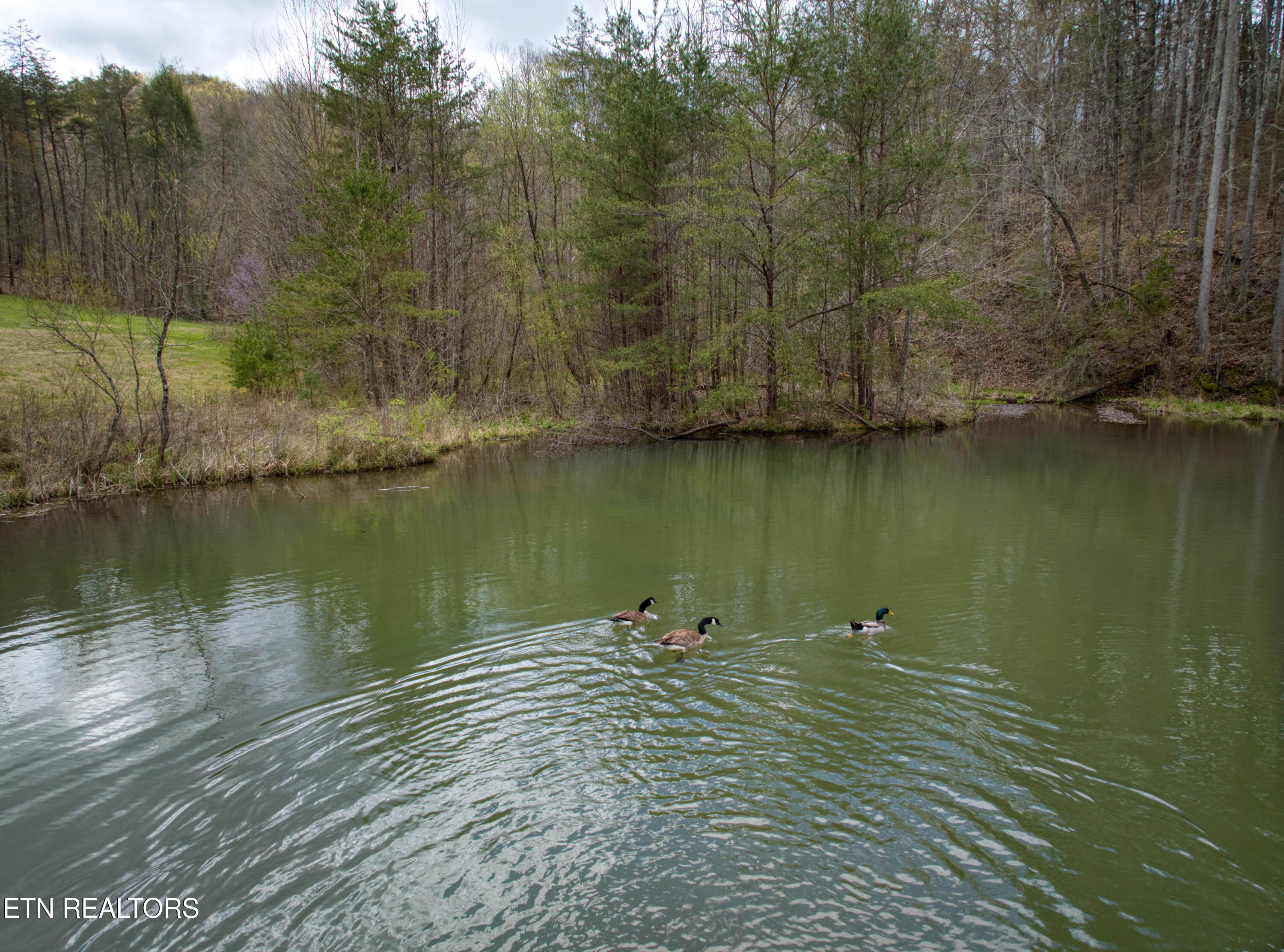 610 Solomon Seal Way Maryville TN 37803