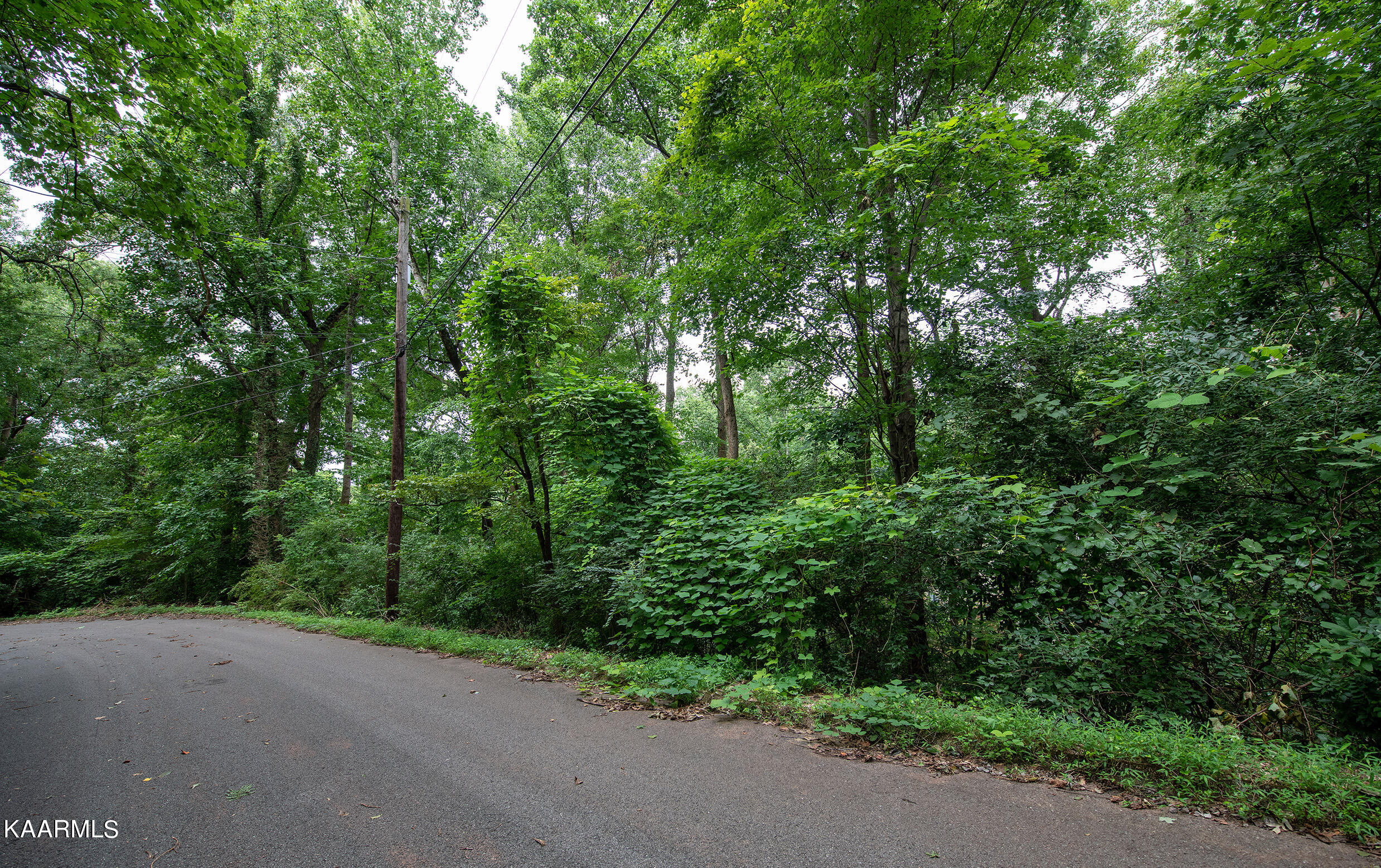 0 River Oak Drive Knoxville TN 37920