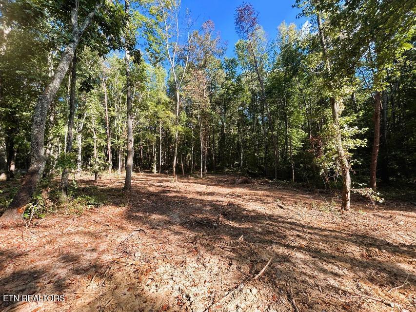 Tract 4 Pleasant Hill Road Ten Mile TN 37880