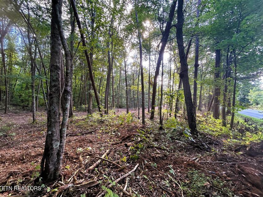 Tract 4 Pleasant Hill Road Ten Mile TN 37880