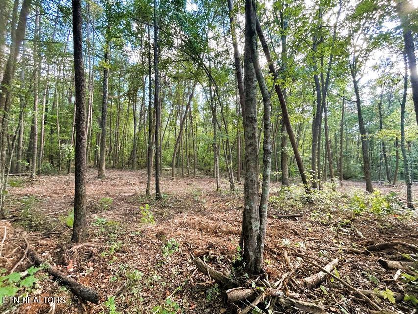 Tract 4 Pleasant Hill Road Ten Mile TN 37880