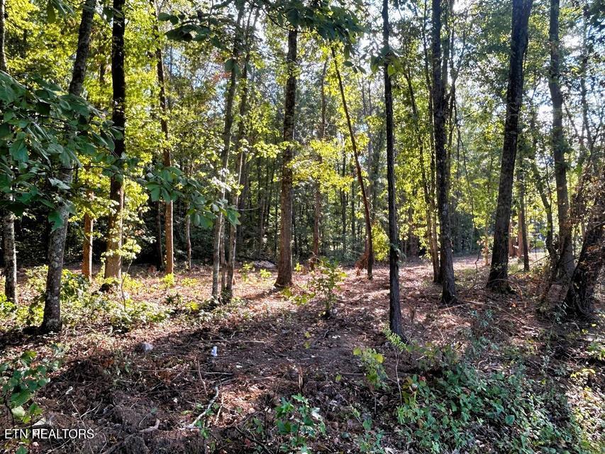 Tract 4 Pleasant Hill Road Ten Mile TN 37880