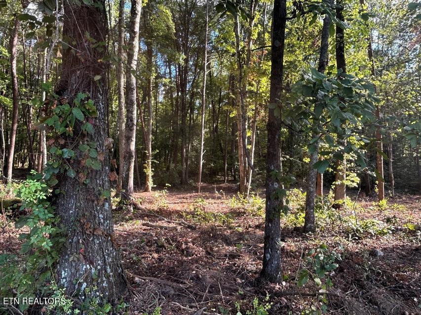 Tract 4 Pleasant Hill Road Ten Mile TN 37880