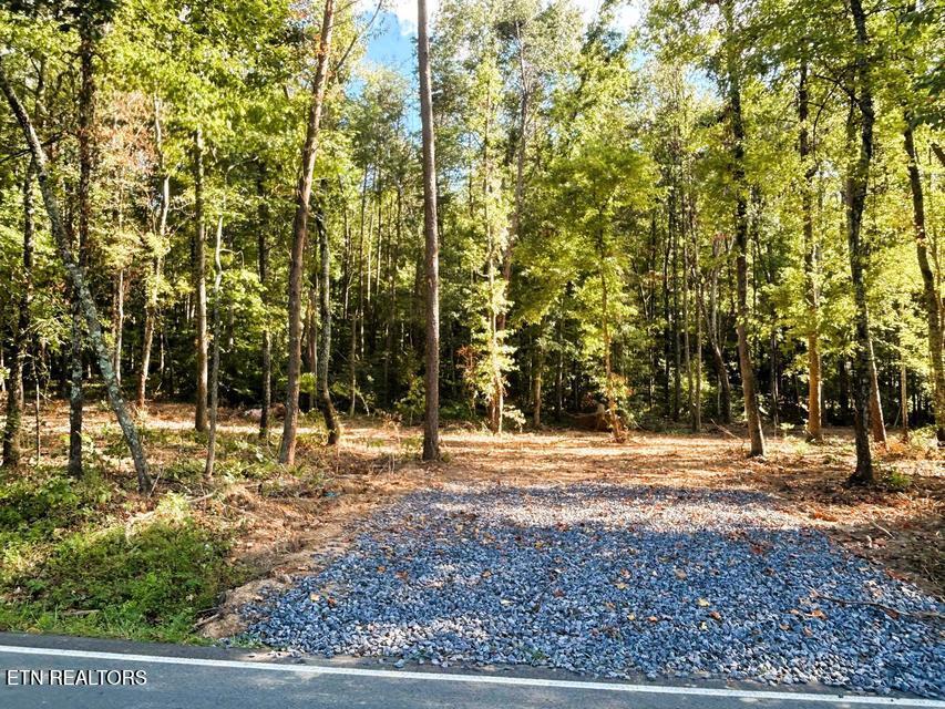 Tract 4 Pleasant Hill Road Ten Mile TN 37880