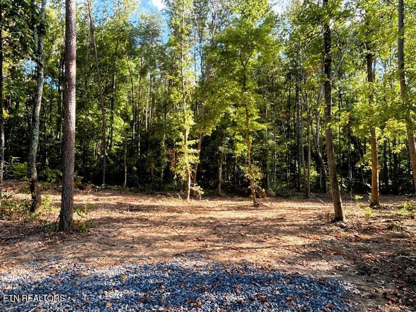 Tract 4 Pleasant Hill Road Ten Mile TN 37880