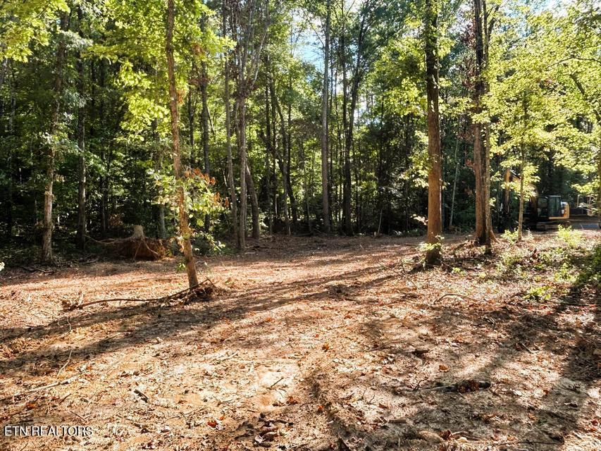 Tract 4 Pleasant Hill Road Ten Mile TN 37880