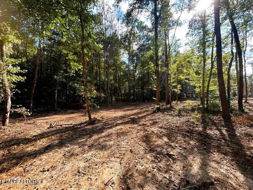 Tract 4 Pleasant Hill Road Ten Mile TN 37880