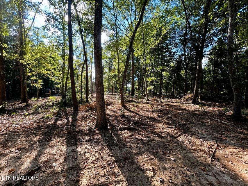 Tract 4 Pleasant Hill Road Ten Mile TN 37880