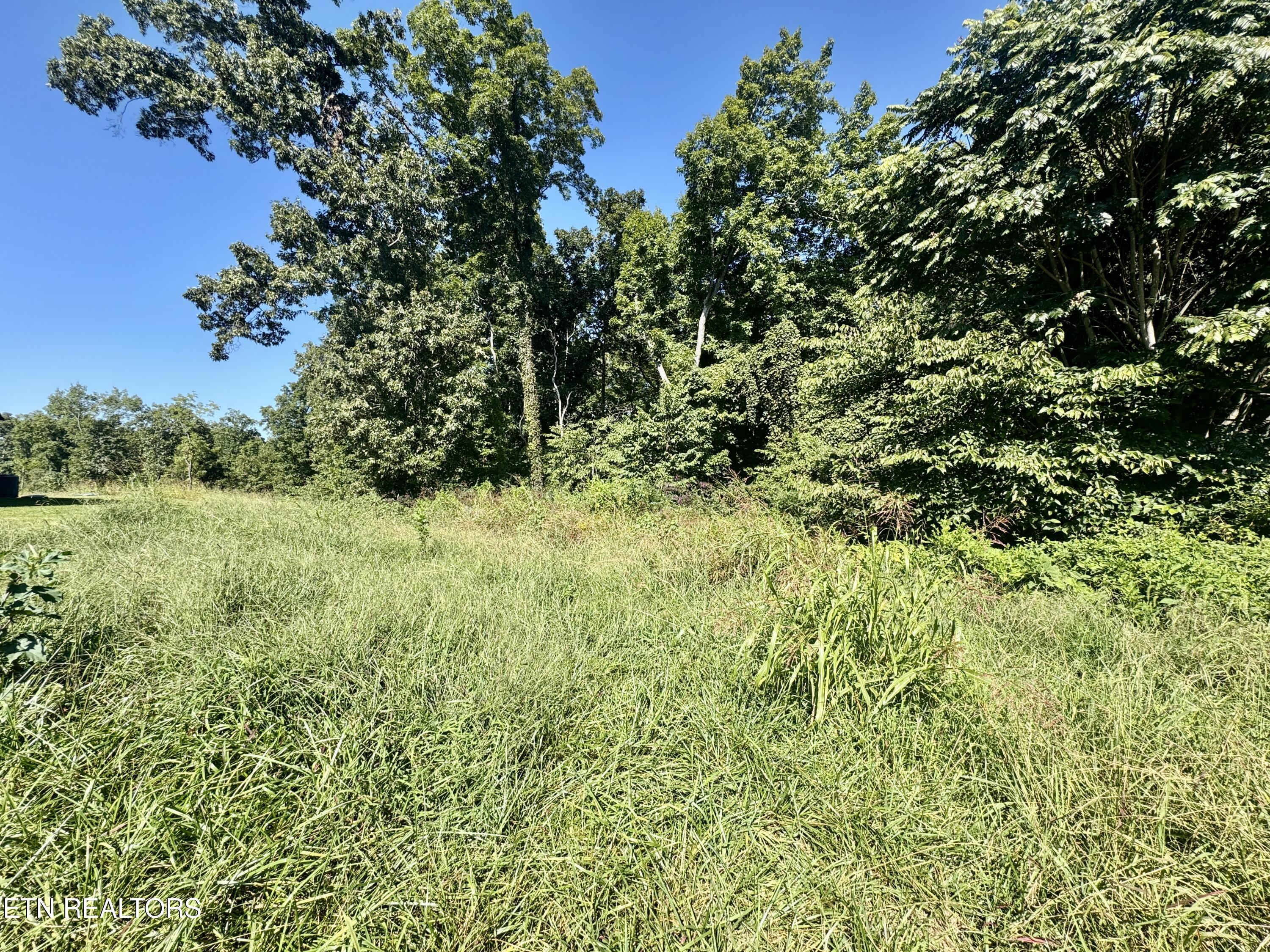 Bridgewater Boulevard Morristown TN 37814